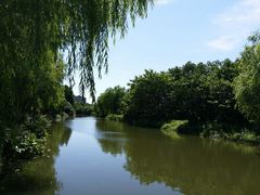 -新江湾城公园