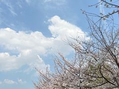 -堤角公园