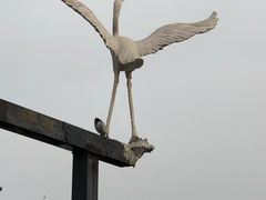 -徐记私厨(半淞园路店)