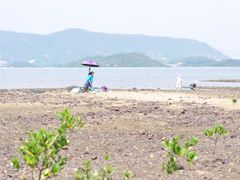 -坝光海滩