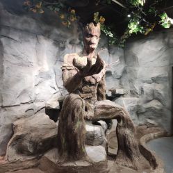 -Zoolung Zoolung动物主题公园(海信广场店)