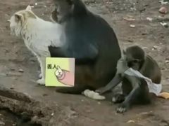 -昆明动物园