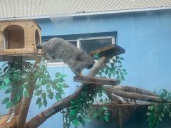 -青藏高原野生动物园