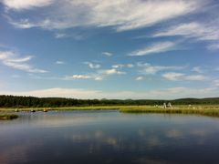 -塞罕坝国家级自然保护区