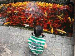 -成飞公园