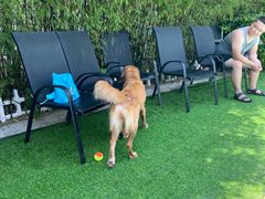 -汪说喵讲宠物乐园宠物酒店(红星美凯龙店)