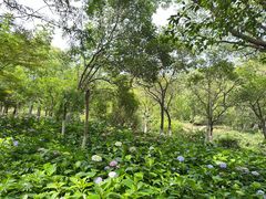 -白马涧龙池景区