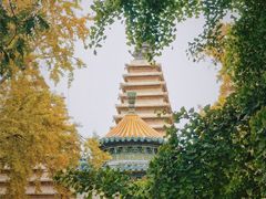 -北京石刻艺术博物馆