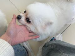 -怪兽屋·羊驼·猫咖·狗咖(俊华广场店)