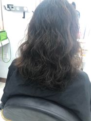-镁连社·美联社