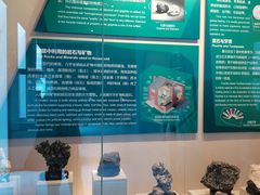 -房山世界地质公园博物馆