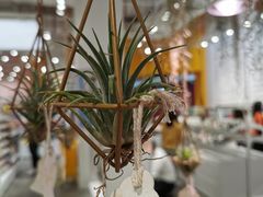 -KKV(深圳kk one 店)