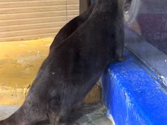 -太平洋海底世界