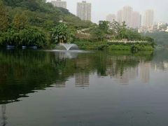 -重庆彩云湖湿地公园