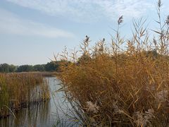 -永定河休闲森林公园