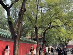 -北京国子监胡同