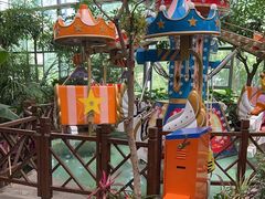 -南宫五洲植物乐园