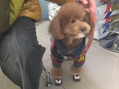 -宠颐生中康贝怡动物医院