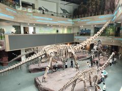 -安徽省地质博物馆