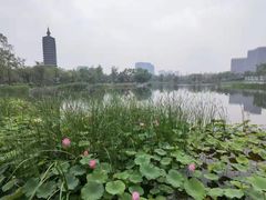 -西海子公园