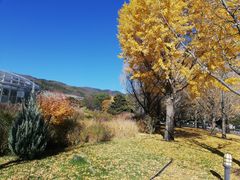 -北京植物园南门售票处