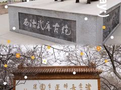 -桃花堤公园