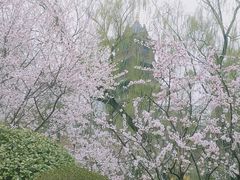 -迎泽公园