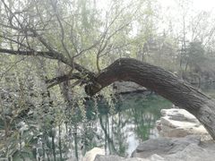 -百脉泉景区
