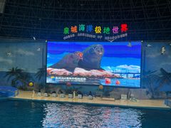 -泉城欧乐堡海洋极地世界