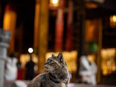 -龙华寺