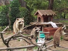 -宁波野生动物园