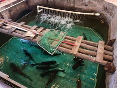 -绿雅居原生态农庄(小涌店)