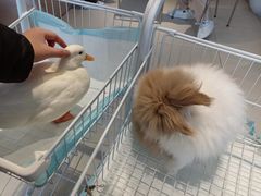 -怪兽屋·羊驼·猫咖·狗咖(俊华广场店)