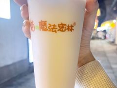 -猫的魔法密林(衣裳街店)