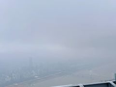 -武汉绿地中心