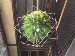 -胡桃里音乐酒馆(曲江店)