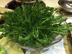 有机豌豆苗-一叶一世界•素食餐厅(环球中心店)
