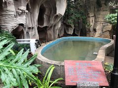 -盛泰恐龙谷温泉