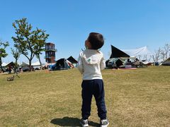 -春花秋色城市公园