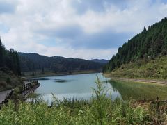 -武陵山森林公园