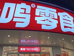 -赵一鸣零食(广东佛山大沥镇嘉洲店)