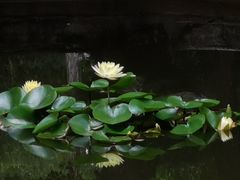 -昆明市金殿名胜区