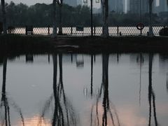 -金银湖国家城市湿地公园