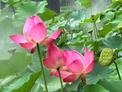 -龙环葡韵住宅式博物馆