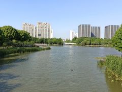 -南翔镇银翔湖公园