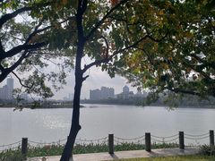 -南宁南湖公园