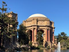 -旧金山现代艺术博物馆