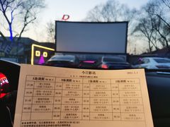 -枫花园汽车电影院(朝阳公园店)
