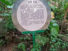 -海南铜鼓岭景区