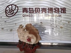 -青岛贝壳博物馆